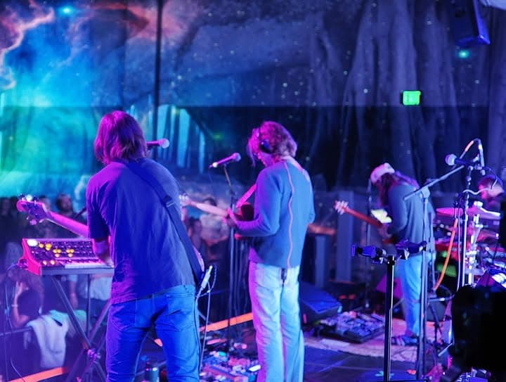 Splendid Blend at Meow Wolf